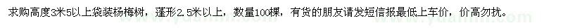 求購高3.5米以上袋裝楊梅樹