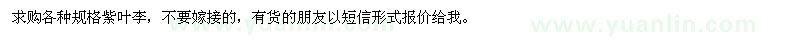 求購各種規(guī)格紫葉李