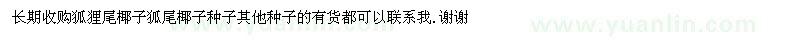 求購長期收購狐貍尾椰子