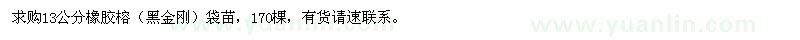 求購13公分橡膠榕