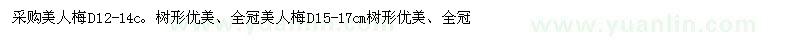 求購美人梅