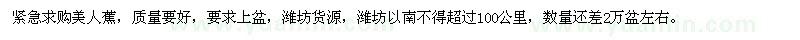求購(gòu)美人蕉