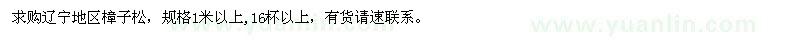 求購1米以上樟子松