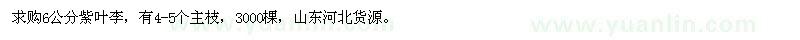 求購6公分紫葉李