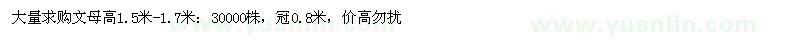 求購高1.5-1.7米文母