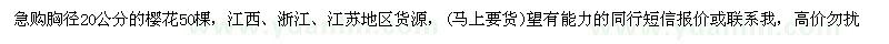求購胸徑20公分櫻花