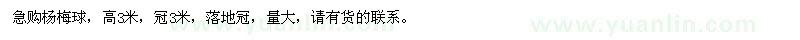 求購3米楊梅球