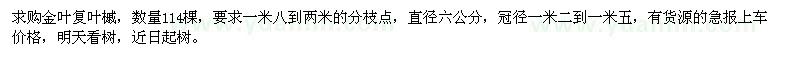 求購1.8-2米金葉復葉槭