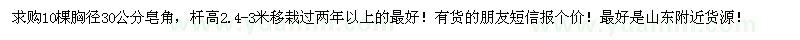求購胸徑30公分皂角