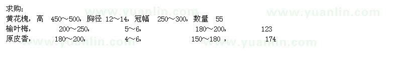 求購(gòu)黃花槐、榆葉梅、原皮香