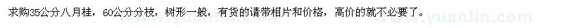 求購35公分八月桂