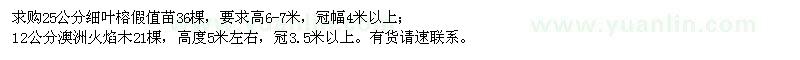 求購25公分細(xì)葉榕、12公分澳洲火焰木