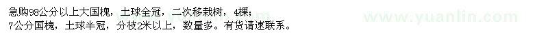 求購(gòu)98公分以上大國(guó)槐、7公分國(guó)槐