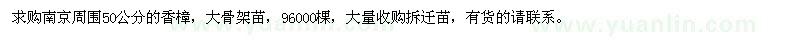 求購(gòu)50公分香樟
