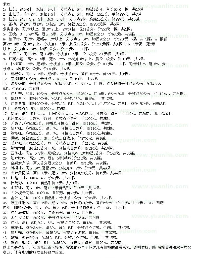 求購(gòu)杜英、香樟、國(guó)槐