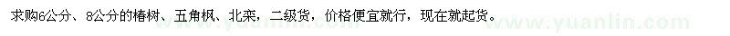 求購椿樹、五角楓、北欒