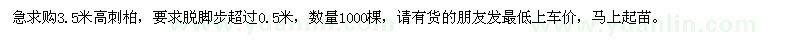 求購高3.5米刺柏