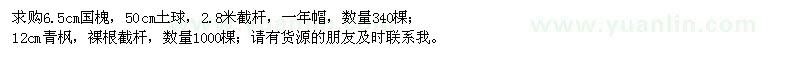 求購6.5公分國槐、12公分青楓