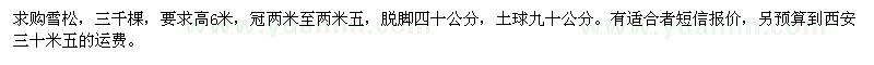 求購高6米雪松
