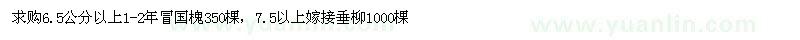 求購6.5公分以上國槐