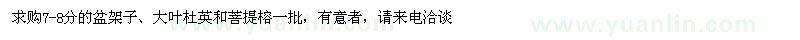 求購(gòu)盆架子、大葉杜英、菩提榕