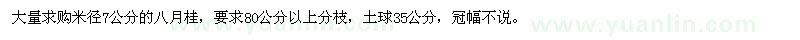 求購(gòu)米徑7公分八月桂
