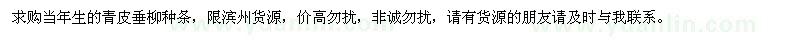 求購青皮垂柳種條