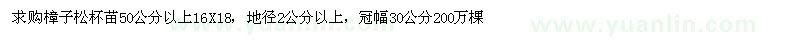 求購50公分以上樟子松杯苗