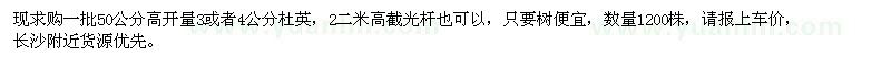求購(gòu)3、4公分杜英