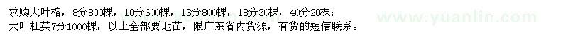 求購大葉榕、大葉杜英