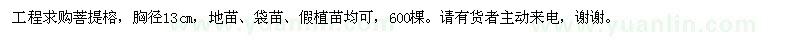 求購胸徑13公分菩提榕