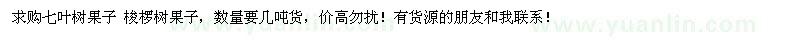 求購七葉樹果子、梭欏樹果子