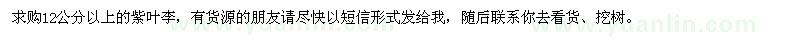 求購12公分以上紫葉李