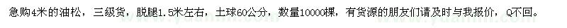 求購4米油松