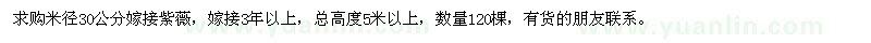 求購米徑30公分嫁接紫薇