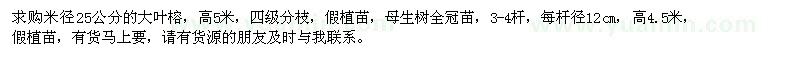 求購大葉榕