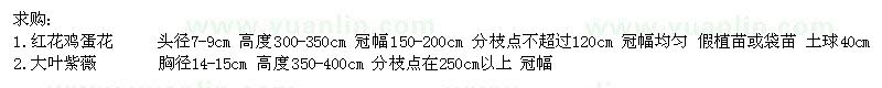 求購(gòu)紅花雞蛋花、大葉紫薇