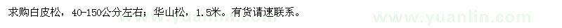 求購白皮松、華山松