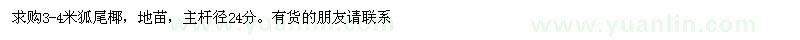 求購3-4米狐尾椰