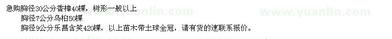 求購香樟、烏桕、樂昌含笑