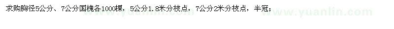 求購國槐