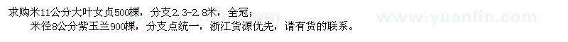 求購大葉女貞、紫玉蘭