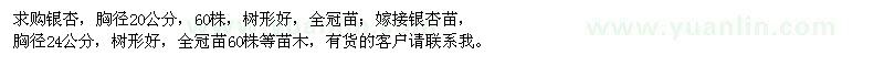求購(gòu)胸徑20、24公分銀杏