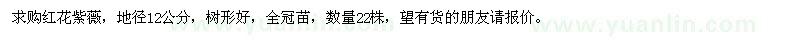 求購地徑12公分紅花紫薇