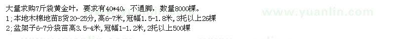 求購黃金葉、本地木棉、盆架子