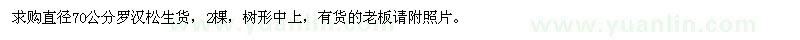 求購(gòu)70公分羅漢松