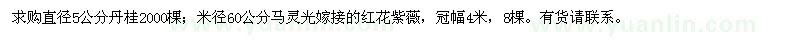 求購丹桂、馬靈光嫁接的紅花紫薇