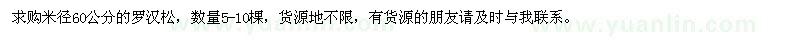 求購米徑60公分羅漢松
