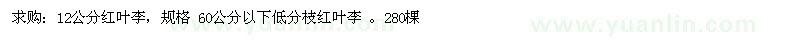 求購12公分紅葉李