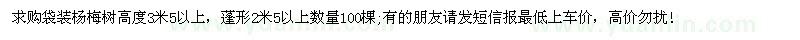 求購高3米5以上袋裝楊梅樹